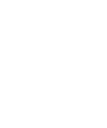 Neon INTRO